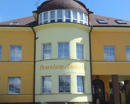 Guest house Astoria